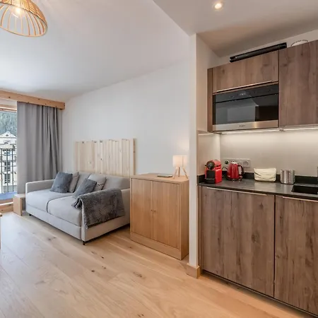 Daire Cozy Au Centre De Avec Balcon - Fr-1-343-274 Chamonix